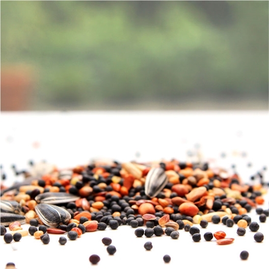 Mangeoire pour oiseaux