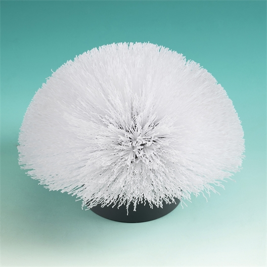 Brosse nettoyante télescopique