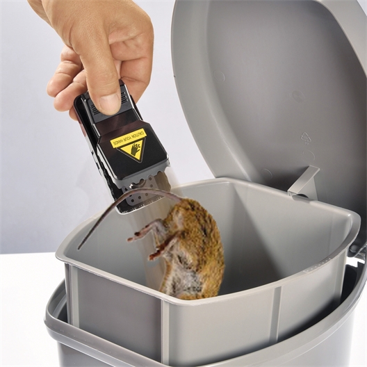 Lot de 4 attrape-souris
