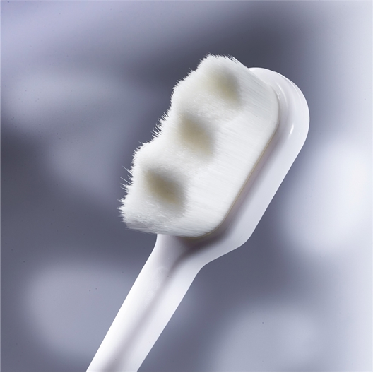 Lot de 2 brosses à dents nano poils