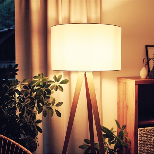 Lot de 3 prises domotiques