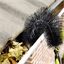 Brosse flexible gouttière