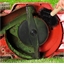 Brosse tondeuse