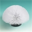 Brosse nettoyante télescopique