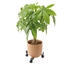 Support de plante télescopique