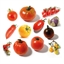 Lot de 12 sachets herbes aromatiques ou tomates anciennes