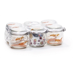 Lot de 6 bocaux 500 ml