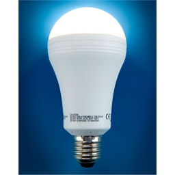 Lampe Everbright : batterie de secours
