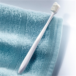 Lot de 2 brosses à dents nano poils