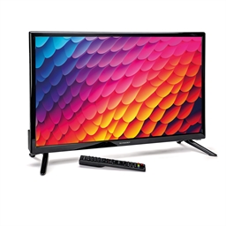 Télévision Schneider® 60 cm