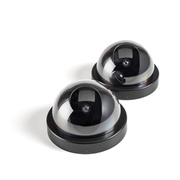 Lot de 2 caméras de sécurité factices