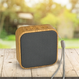 Enceinte sans fil