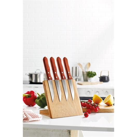 Set de 4 couteaux de cuisine