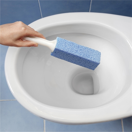 Brosse magique WC