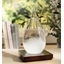 Baromètre Storm Glass